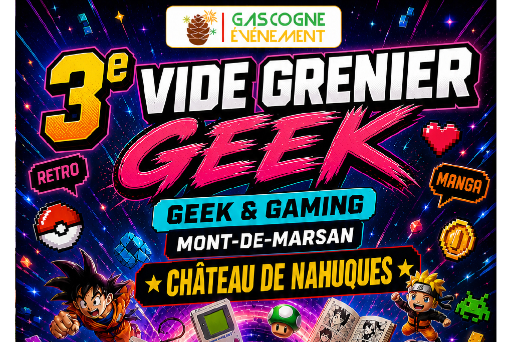 Vide Grenier Geek